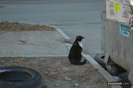 Разходка около Тюлбето