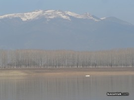 На Никулден десетки риболовци се отдадоха на своето хоби