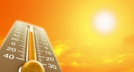 Рекордно топъл януари от 60 години насам / Новини от Казанлък