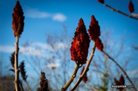 15 градуса бяха измерени днес в Казанлък / Новини от Казанлък
