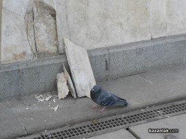 Започна ремонтът на Лъвовата чешма