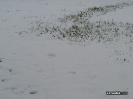 Казанлък се събуди със снежна покривка