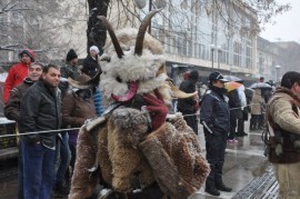 Кукери от община Павел баня се представиха на „Сурва 2014“