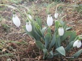 14,6 градуса измерени днес в Казанлък / Новини от Казанлък