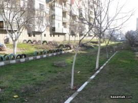 Казанлъшка журналистка бе нападната два пъти за три дни