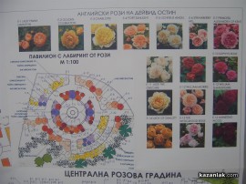 Утре започва обновяването на Розариума и Тюлбето