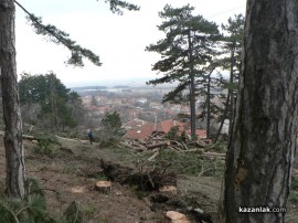 Шипкалии недоволни от сечта край града