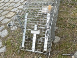  Нашенец направи свой капан за белки, готов е да измисли и такъв за политици