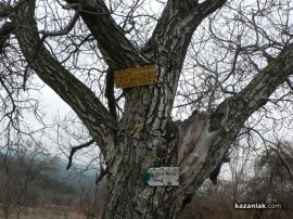 Не кради повече!!!Знаем кой си!!!Спри!!!