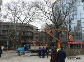 Затвориха улица „Старозагорска“ за отстраняването на опасни клони