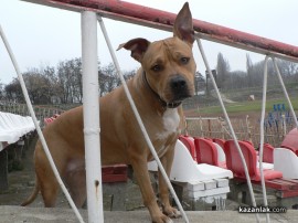 Левски/Карлово/ се отказа от контрола с Розова долина в последния момент