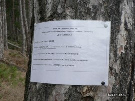 Шипкалии не дават гората си. Започнаха подписка против сечта