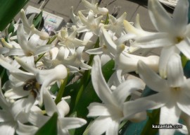 В Казанлък отново се радвахме на температура от над 20 градуса