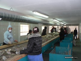 Общински съветници и медии посетиха сепариращата станция в Казанлък