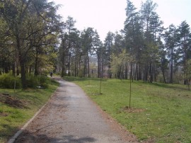 В Седмицата на гората в община Казанлък започнаха залесителни мероприятия / Новини от Казанлък