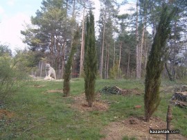 Изцяло се обновяват двата емблематични парка „Розариум“ и „Тюлбето“