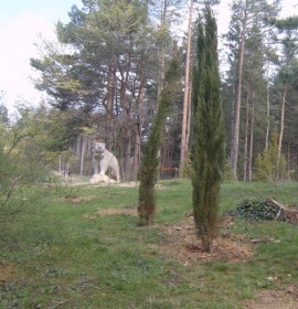 Кампания по залесяване на „Тюлбето“ в Седмицата на гората / Новини от Казанлък