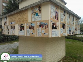 Европейски доброволци отбелязаха Деня на Европа в Казанлък