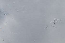 Искра Михайлова бе гост на празник за жените от ДПС край Копринка