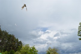 Искра Михайлова бе гост на празник за жените от ДПС край Копринка