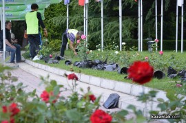 Засаждат близо 1000 рози в центъра на Казанлък