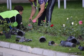 Засаждат близо 1000 рози в центъра на Казанлък