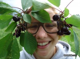 Белгийски младежи се включиха в брането на розов цвят и се влюбиха в България