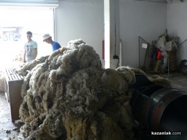 Наградиха собственика на стадото с най-добра вълна в региона