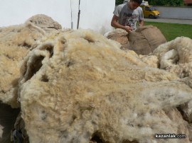 Наградиха собственика на стадото с най-добра вълна в региона