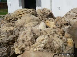 Наградиха собственика на стадото с най-добра вълна в региона