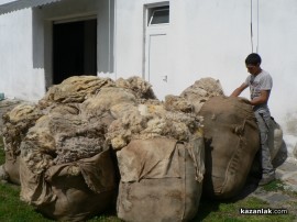 Наградиха собственика на стадото с най-добра вълна в региона
