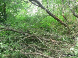 Жена и дете пострадаха при катастрофа