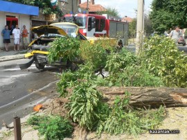 Пийнал шофьор изтръгна дърво и почти събори стълб в Казанлък