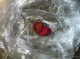 Собствениците на отровения Мопс разчитат на полицията