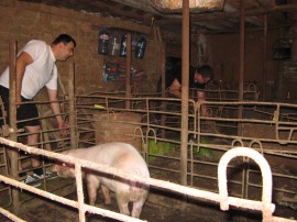 Доброволци разчистваха къщата на самотна възрастна жена от Турия, пострадала от пороя през юни