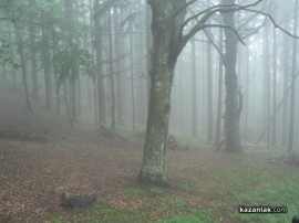 Дъжд и мъгла не попречиха на възстановката на боевете на Хаджи Димитровата чета