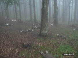 Дъжд и мъгла не попречиха на възстановката на боевете на Хаджи Димитровата чета