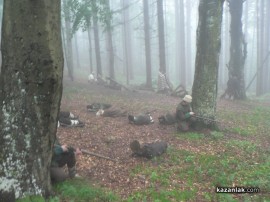 Дъжд и мъгла не попречиха на възстановката на боевете на Хаджи Димитровата чета