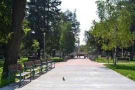 Парк „Розариум“ – на финалната права