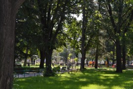 Парк „Розариум“ – на финалната права