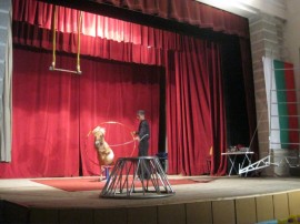 За два дни читалището в село Копринка се превърна в Цирк