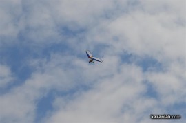 Над 12 000 дойдоха на събора на русофилите край Казанлък