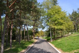 Новата визия на парк “Тюлбето“