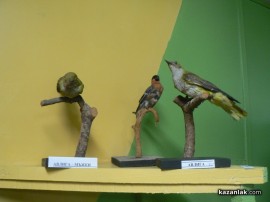 Природонаучен музей отвори врати в Казанлък