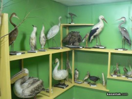 Природонаучен музей отвори врати в Казанлък