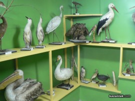 Природонаучен музей отвори врати в Казанлък