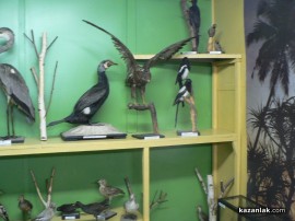 Природонаучен музей отвори врати в Казанлък