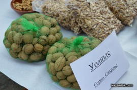 Днес в Голямо Дряново се проведе Фестивал на ореха