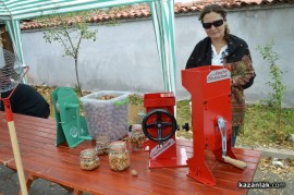 Днес в Голямо Дряново се проведе Фестивал на ореха