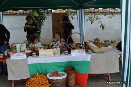 Днес в Голямо Дряново се проведе Фестивал на ореха